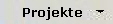 Projekte/Referenzen